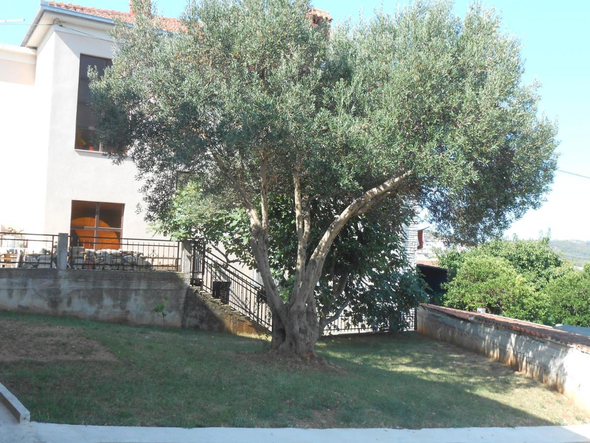 Apartments With A Parking Space Okrug Gornji, Ciovo - 13859 Trogir Extérieur photo